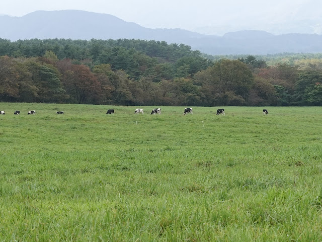 大山まきば