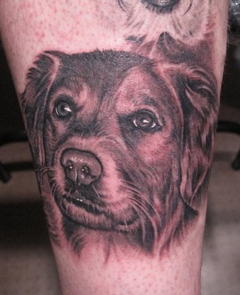 Labels Dog tattoos