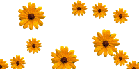 :)