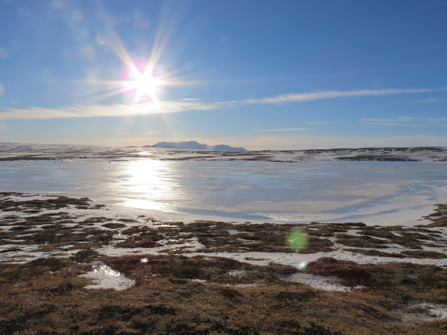 Iceland frozen lake