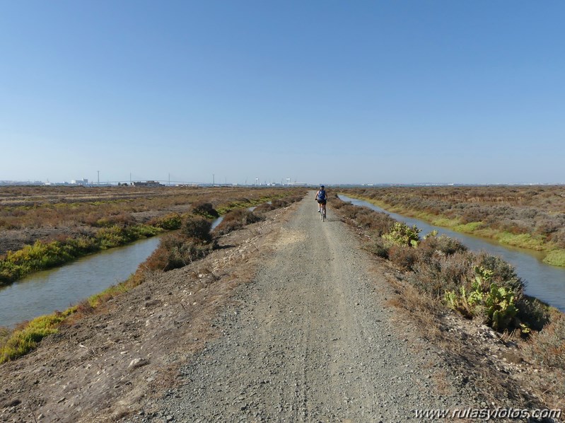 Bici Cádiz - Puerto de Santa María - Puerto Real - San Fernando - Cádiz