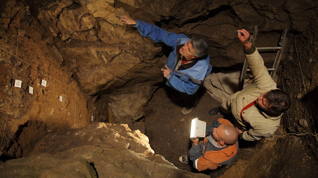 Há mais de 50.000 anos, uma mulher neandertal e um homem denisovanofizeram sexo e alguns meses depois ela deu à luz uma menina. Muitos séculos mais tarde, numa gruta siberiana junto à cordilheira de Altai, foram encontrados os ossos que deixou aquela menina híbrida, que teria 13 anos ao morrer.
Há quase uma década se sabe que os neandertais, denisovanos e humanos modernos tiveram descendência em algumas circunstâncias, mas nunca havia sido encontrado um filho de um casal misto.