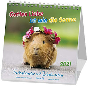 Gottes Liebe ist wie die Sonne 2022: Postkarten-Kalender für Kinder mit Gedichten und Gebeten