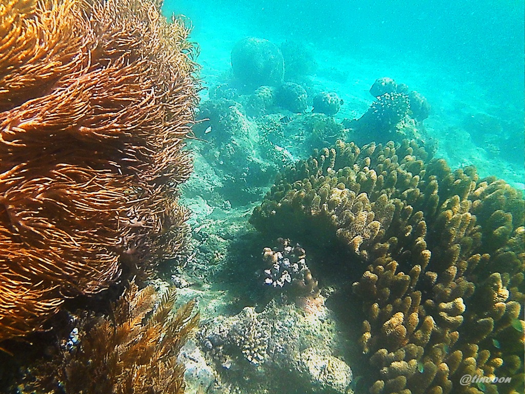 Serasa di Pulau Pribadi di Pulau Nusara Catatan Perjalanan