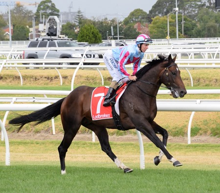 orr stakes_land of plenty 4