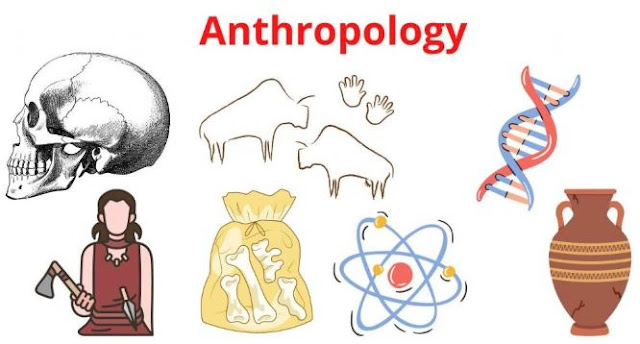 apa yang dimaksud dengan antropologi