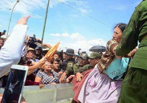 Tarija se suma al pedido de una ley para los animales 