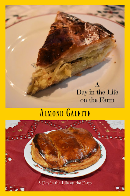 Almond Galette pin