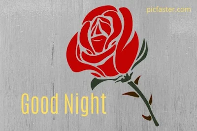 Latest - Good Night Rose Images, Photos For Whatsapp