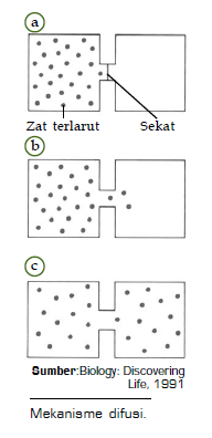 Pengertian Difusi dan Mekanisme Transpor Difusi