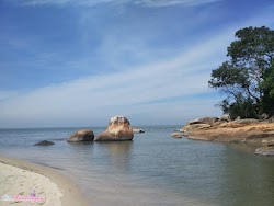 Bermain dengan Turtles di Pantai Kerachut