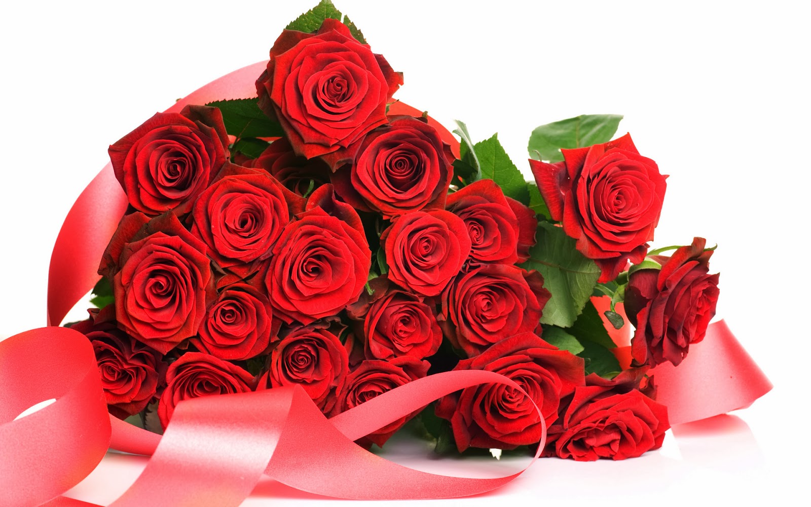  Red  Rose  HD  Flowers  Wallpapers  Flowers 