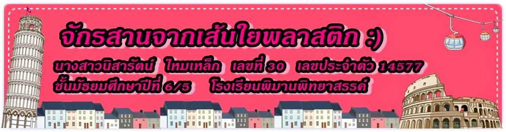 จักรสานจากเส้นใยพลาสติก