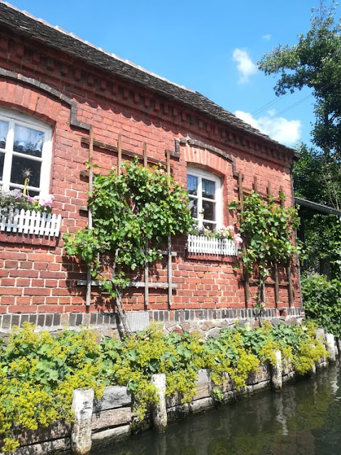 Spreewald - Brandenburgia jak z obrazka.