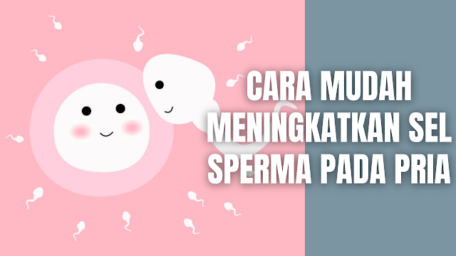 Cara Mudah Meningkatkan Sel Sperma Pada Pria Jumlah sperma yang cukup akan membantu proses membuahi sel telur sehingga akan meningkatkan proses kehamilan. Untuk meningkatkan jumlah sel sperma dibutuhkan beberapa cara, serta harus mengetahui apa saja penyebab jumlah sperma rendah. Hal yang menyebab rendahnya sperma pada pria diantaranya adalah :  Merokok Paparan panas berlebih pada skrotum Stres Kurangnya ejakulasi air mani Faktor keturunan Obesitas Memiliki beberapa Penyakit Menular Seksual (PMS) Beberapa obat-obatan dan antibiotik tertentu yang bisa menyerang sperma Masalah hormonal Diet tak seimbang Seperti yang telah disebutkan di atas dibutuhkan beberapa hal yang bisa dilakukan untuk meningkatkan jumlah sel sperma. Berikut ini cara meningkatkan jumlah sel sperma dengan mudah dan alami :  Makan Sayur dan Buah Berwarna Merah Pada sayur dan buah yang berwarna merah memiliki kandungan likopen. Kandungan likopen akan membantu meningkatkan kualitas, mobilitas, dan volume sperma. Untuk mendapatkan nutrisi likopen bisa ditemukan dalam tomat, stroberi, ceri, dan paprika merah.    Selalu Terhidrasi Bagi setiap individu manusia dibutuhkan sekitar 4 liter air setiap hari untuk menghindari dehidrasi pada tubuh dan meningkatkan jumlah sperma. Minum air secara teratur sangat penting sebab berfungsi untuk metabolisme optimun suatu sel hidup. Dengan meminum minuman sehat seperti air, yoghurt, dan jus buah untuk meningkatkan jumlah sperma.    Olahraga Dengan melakukan olahraga secara moderat akan memiliki motilitas yang lebih baik. Maka di dalam meningkatkan jumlah sperma dibutuhkan olahraga yang tepat dan aman.    Mengurangi Makanan Berbasis Kedelai Mengonsumsi makanan yang berbahan kacang kedelai secara berlebihan akan menurunkan jumlah sel sprema pria. Hal ini bisa terjadi karena kacang kedelai memiliki kandungan fitoestrogen, fitoestogen adalah horman pada tanaman yang mirip estrogen manusia.    Menghindari Panas Berlebih Pada Testis Panas yang berlebih pada testis akan menyebabkan jumlah sperma pada pria menjadi rendah. Maka dari itu bagi pria di wajibkan untuk menghindari mandi air hangat, spa, dan suana, Terutama jika sedang melakukan proses perkawinan untuk mempunyai anak.  Menggunakan celana dalam berbahan katun dan serat alami serta longgar wajib untuk digunakan. Penggunaan celana dalam yang seperti ini akan membantu area kemaluan pria suhunya tidak panas.    Mengonsumsi Supleman Peningkat Jumlah Sperma Untuk meningkat jumlah sel sperma dibutuhkan untuk mengonsumsi makanan yang bernutrisi setiap hari. Nutrisi yang diperlukan untuk meningkatkan jumlah sperma adalah :  Zinc Zinc adalah salah satu mineral yang telah terbukti dapat meningkatkan jumlah sperma dan memiliki efek positif pada motilitas sperma, dan morfologi sperma.  Sumber makanan yang kaya akan zinc adalah daging sapi, bayam, asparagus, jamur, daging domba, biji wijen, biji labu, kacang, mete, kalkun, kacang hijau, tomat, yoghurt, tofu, brokoli, rumput laut, dan lain-lain.    Selenium Selenium dibutuhkan untuk memproduksi sperma. Gizi selenium yang baik penting untuk antioksidan dan untuk alasan kesehatan lainnya.  Sumber makanan yang kaya akan selenium adalah tuna, udang, ikan sarden, salmon, ikan cod, jamur, asparagus, kalkun, daging sapi, daging domba, beras merah, telur, dan lain-lain.    Coenzyme Q10 Coenzyme Q10 adalah antioksidan penting yang dibuat dalam tubuh manusia. Co Q10 dapat membantu melindungi sel-sel dari kerusakan radikal bebas, melindungi DNA, dan diperlukan untuk fungsi dasar sel. Co Q10 sangat penting bagi kesehatan sperma. Namun, tingkat Co Q10 akan menurun seiring bertambahnya usia, sehingga penting bagi pria untuk meningkatkan Co Q10.  Sumber makanan yang mengandung Co Q10 adalah brokoli, kacang-kacangan, ikan, kerang, daging babi, ayam, dan daging sapi.    Vitamin E Vitamin E adalah antioksidan kuat yang dapat membantu sistem kekebalan tubuh secara alami. Studi telah menunjukkan manfaat vitamin E pada kesehatan sperma dan motilitas pada pria.  Sumber makanan yang kaya akan vitamin E adalah biji bunga matahari, bayam, asparagus, kale, udang, minyak, kacang, alpukat, dan lain-lain.    Vitamin B12 Kobalamin Vitamin B12 Cobalamin adalah sejenis vitamin B kompleks yang sangat penting dalam mendukung kardiovaskular, produksi DNA, meningkatkan otak dan aktivitas sistem saraf, meningkatkan jumlah sperma secara alami, dan meningkatkan kesehatan sperma.  Sumber makanan yang mengandung B12 Cobalamin adalah ikan sarden, salmon, tuna, ikan cod, daging domba, udang, yoghurt, ayam, jamur, dan lain-lain.    L-Carnitine L-Carnitine adalah asam amino yang secara alami diproduksi di dalam tubuh. Sebagian besar penelitian menunjukkan bahwa L-Carnitine dapat membantu meningkatkan jumlah sperma dan motilitas sperma pada pria.  Sumber utamanya berasal dari daging, ikan dan susu.    Vitamin C Di antara semua nutrisi mungkin ini adalah yang paling familiar. Vitamin C berisi kolagen untuk kesehatan kulit dan tulang, selain itu ia juga dapat memproduksi serotonin untuk fungsi otak, melindungi tubuh dari radikal bebas, meningkatkan jumlah sperma, dan meningkatkan motilitas sperma secara alami.  Sumber makanan yang kaya akan vitamin C adalah buah-buahan dan sayuran, terutama pepaya, nanas, jeruk, brokoli, kubis, stroberi, anggur, dan lain-lain.    Asam Folat Studi telah menunjukkan bahwa asam folat memiliki efek positif pada peningkatan jumlah sperma. Asupan rendah akan asam folat memiliki pengaruh yang sangat buruk, seperti peningkatan keguguran, cacat lahir dengan penyakit darah dan bahkan mungkin kanker.  Sumber makanan yang mengandung asam folat adalah lentil, bayam, kembang kol, brokoli, bayam, peterseli, kacang hitam, kacang navy, kacang merah, dan lain-lain.    Nah itu dia bahasan dari bagaimana cara mudah meningkatkan sel sperma pada pria, melalui bahasan di atas bisa diketahui mengenai penyebab jumlah sprema rendah dan cara-cara di dalam meningkatkan sel sperma pada pria. Mungkin hanya itu yang bisa disampaikan di dalam artikel ini, mohon maaf bila terjadi kesalahan di dalam penulisan, dan terimakasih telah membaca artikel ini."God Bless and Protect Us"