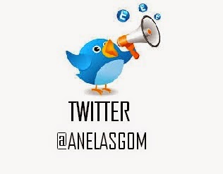 www.twitter.com/anelasgom