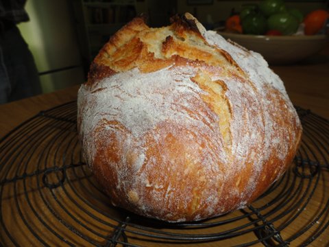 Five minute bread