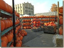 IMG_0153 IMG_0153