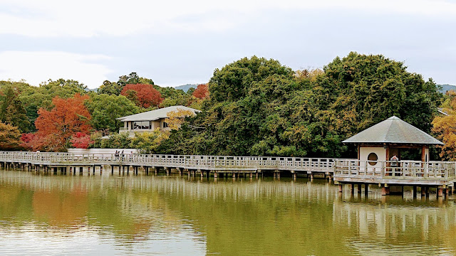 京都 長岡天満宮 紅葉