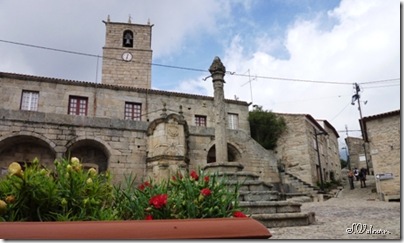 P1010009