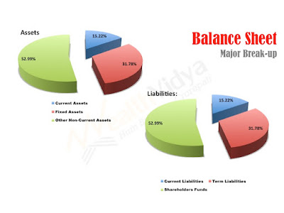 Pie-chart depicting major break-up of assets and liabilities