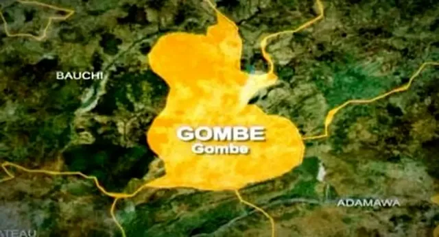 Gombe witnesses massive turnout, vote buying