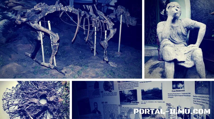 Daftar Museum yang Ada di Indonesia Lengkap