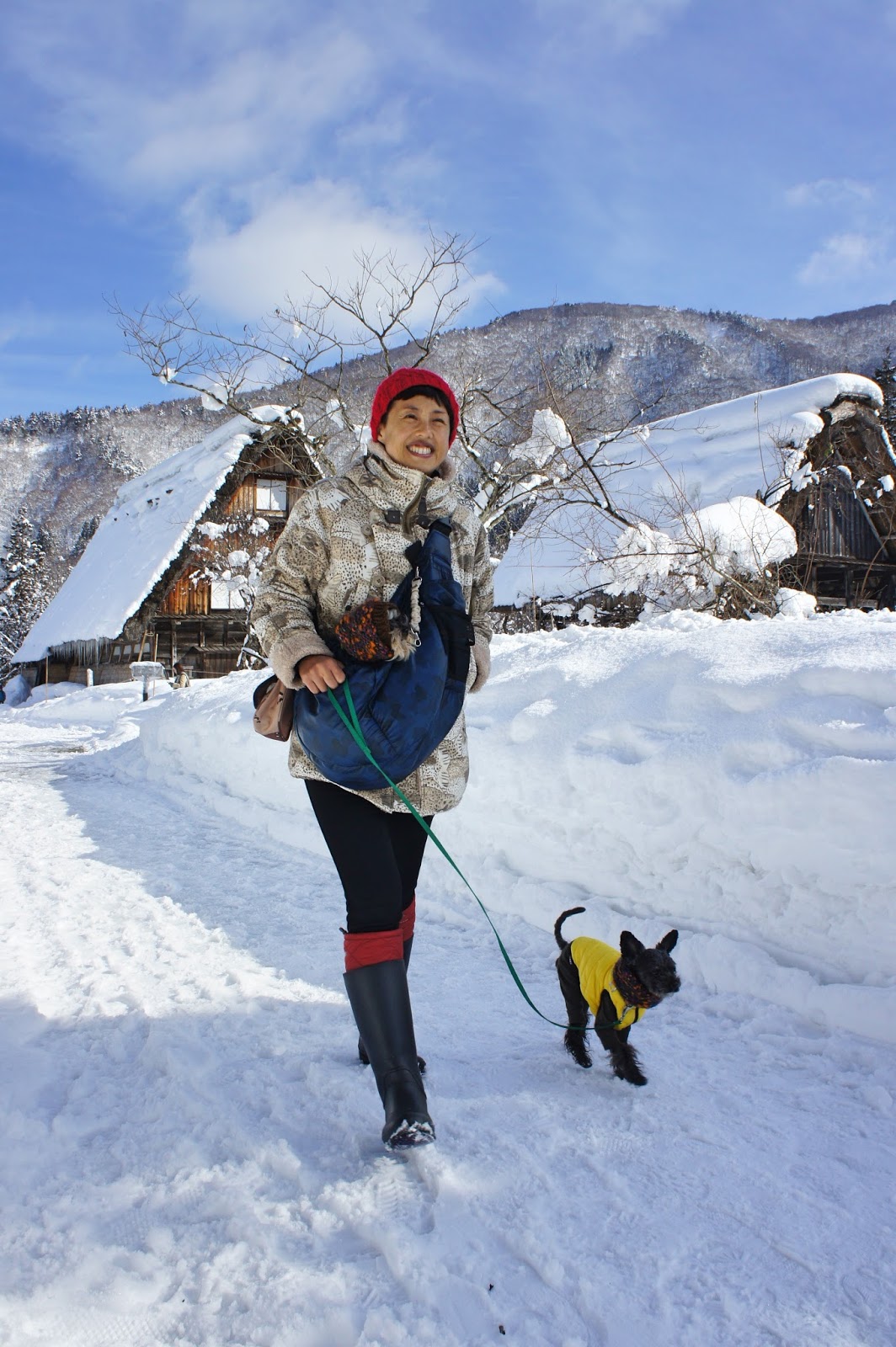 Travel With Small Dogs ちびわんと旅しよう 犬連れ旅行 冬の世界遺産の白川郷 五箇山の合掌造り集落