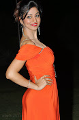 Shilpi Sharma Photos at Green Signal Audio-thumbnail-65