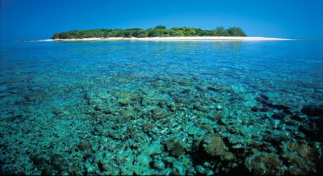 Lady Musgrave Island