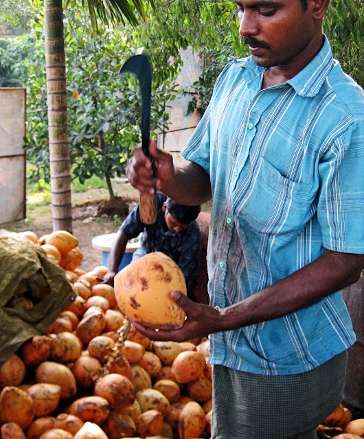 coconut vendor at shop