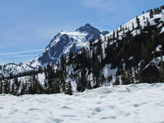 TryingtoReachArtistPointnearMountBaker-14-2014-06-10-22-26.jpg