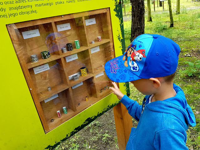 Park Olbrzymich Owadów - Ostrów Wielkopolski - podróże - podróże z dzieckiem - Jezioro Piaski Szczygliczka - jednodniowe wycieczki z dzieckiem - Wielkopolska z dzieckiem - Polska z dziećmi 