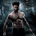 THE WOLVERINE