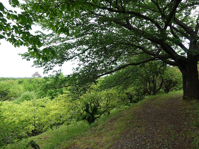 鳥取県米子市淀江町福岡　伯耆古代の丘公園