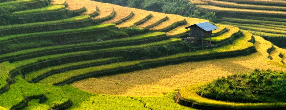 La Pan Tan Stunning Mountain Village, Mu Cang Chai, Vietnam