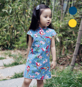Qipao -Birds