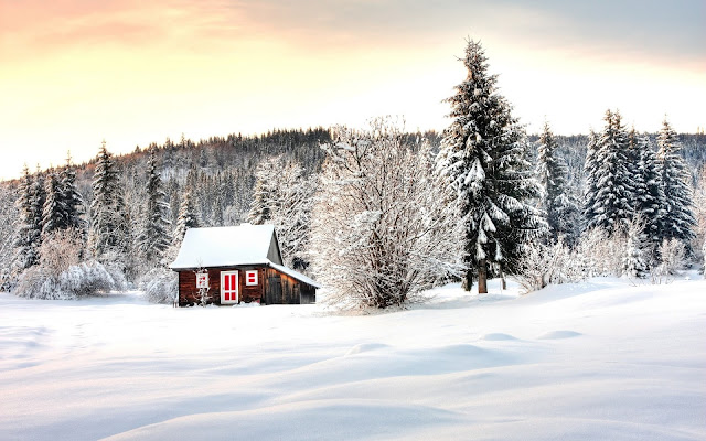 Hermosa Casita entre los Arboles de Abeto Paisajes Naturales de Inverno