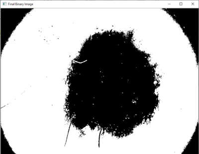 What Is Image Segmentation ? And How To Do Image Segmentation Using Python Coding