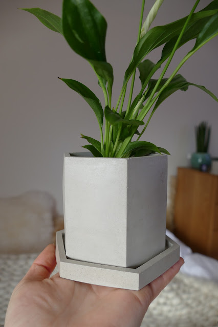 Poured Review etsy, poured etsy, concrete planter pots etsy, concrete pots etsy, concrete pots uk, etsy concrete pots, concrete plant