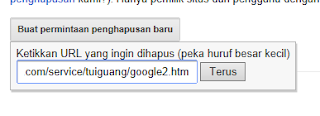 Google Webmasters_Crawler Error7