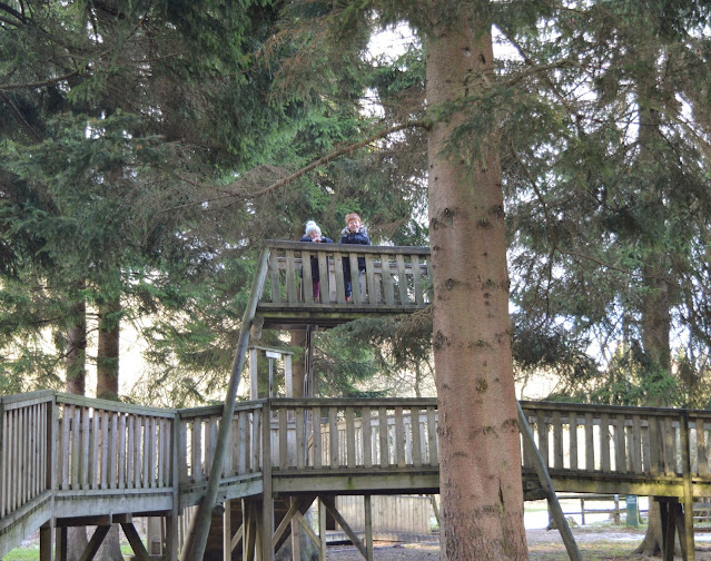 6 of the Best FREE Adventure Playgrounds - Hamsterley Forest Asdventure Playground
