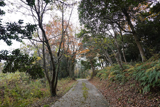 鳥取県西伯郡大山町富岡 むきばんだ史跡公園 弥生の森