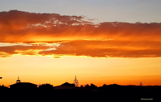 New Zealand Photographers