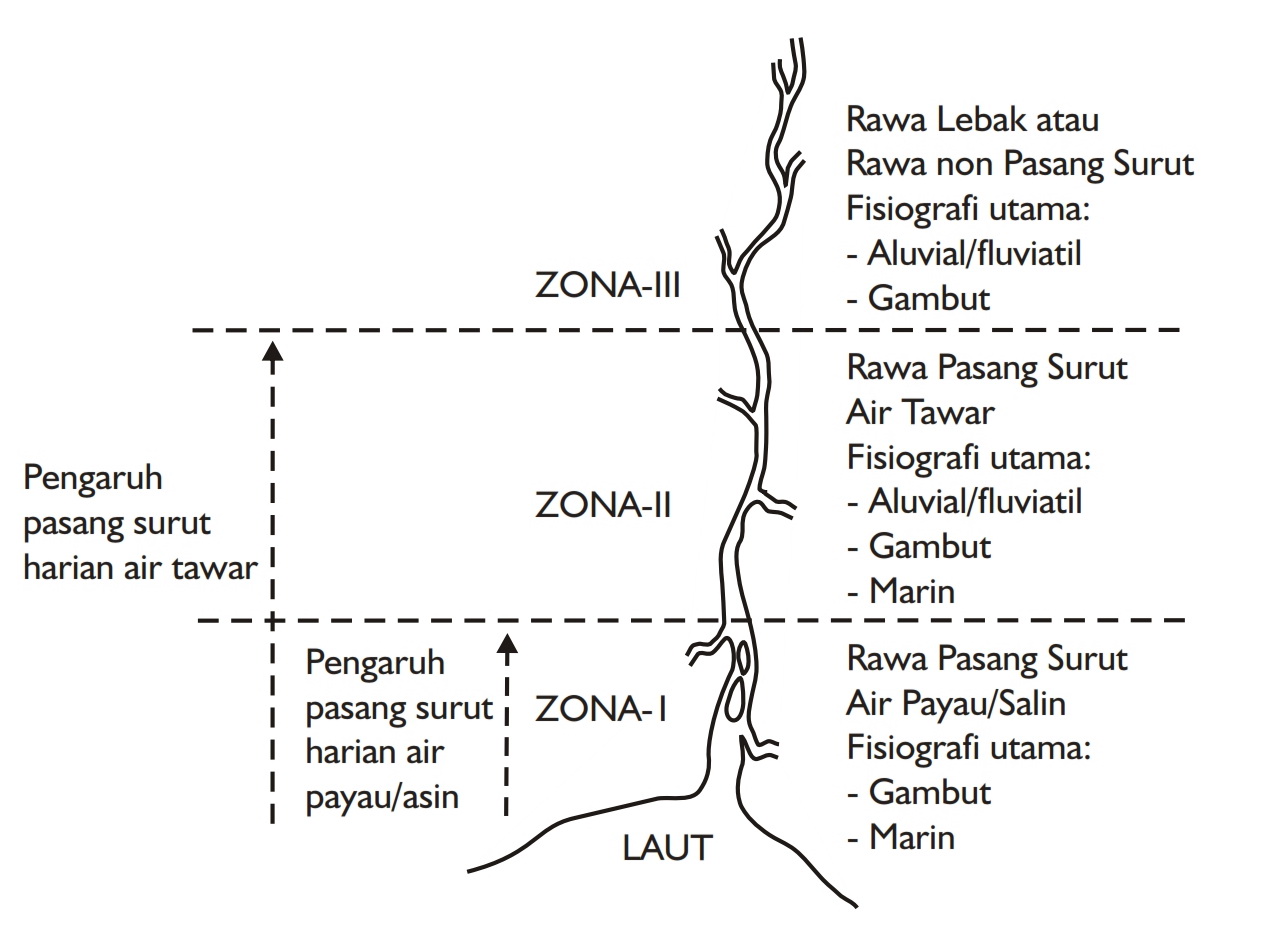 DESAIN SISTEM TATA AIR DAN TATA RUANG MENGENAL TIPE LAHAN RAWA DAN