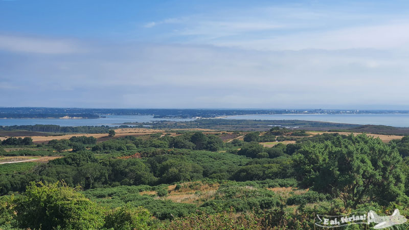 Studland, UK