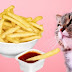 Mπορούμε να δώσουμε τηγανιτές πατάτες στη Γάτα μας;