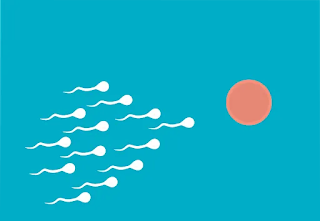 ¿Cuál es el conteo normal de espermatozoides para la fertilidad?