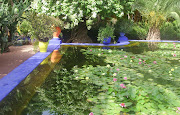 Jardin Majorelle is an oasis of calm with lush foliage and vivid colour in .