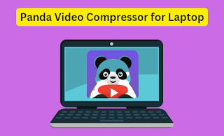 Panda Video Compressor app for PC